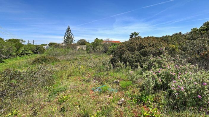 Image No.53-5 Bed House for sale