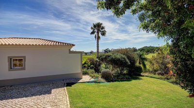 view as you drive in