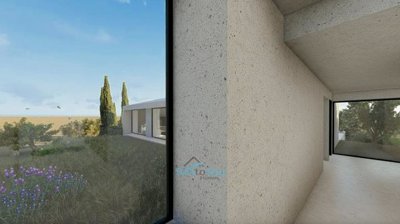 plenty of windows to capture the views