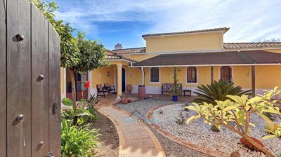 lovely courtyard garden