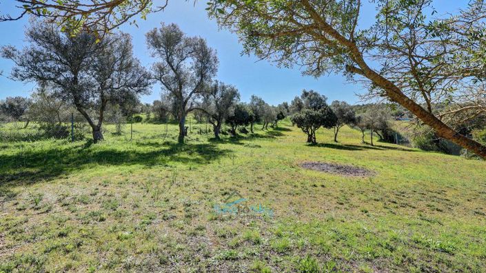 Image No.60-5 Bed House for sale