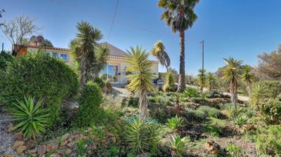 mediterranean gardens