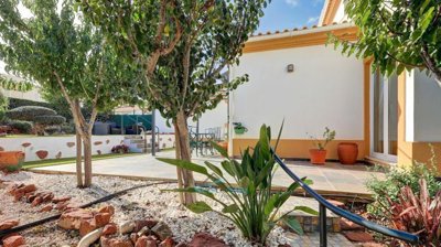 garden and patio