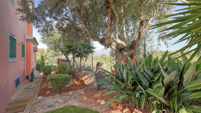 Image No.55-4 Bed House for sale