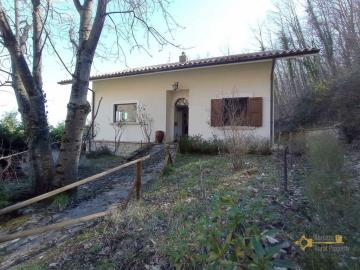 08-Rural-cottage-woodland-for-sale-italy-Abruzzo-Carpineto-della-Nora