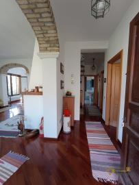 21-Rural-cottage-woodland-for-sale-italy-Abruzzo-Carpineto-della-Nora