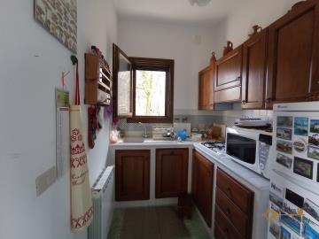 30-Rural-cottage-woodland-for-sale-italy-Abruzzo-Carpineto-della-Nora