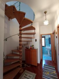 33-Rural-cottage-woodland-for-sale-italy-Abruzzo-Carpineto-della-Nora
