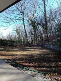 40-Rural-cottage-woodland-for-sale-italy-Abruzzo-Carpineto-della-Nora
