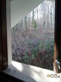 53-Rural-cottage-woodland-for-sale-italy-Abruzzo-Carpineto-della-Nora
