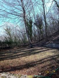 59-Rural-cottage-woodland-for-sale-italy-Abruzzo-Carpineto-della-Nora