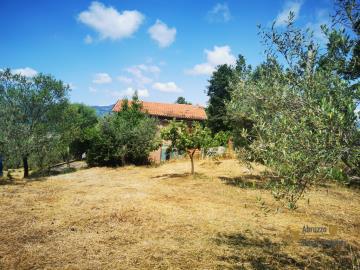 05-Country-house-with-olive-grove-for-sale-Italy-Molise-Roccavivara