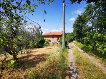 08-Country-house-with-olive-grove-for-sale-Italy-Molise-Roccavivara
