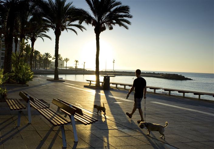 Image No.19-Appartement de 3 chambres à vendre à Torrevieja