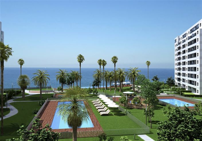 Image No.6-Appartement de 3 chambres à vendre à Torrevieja