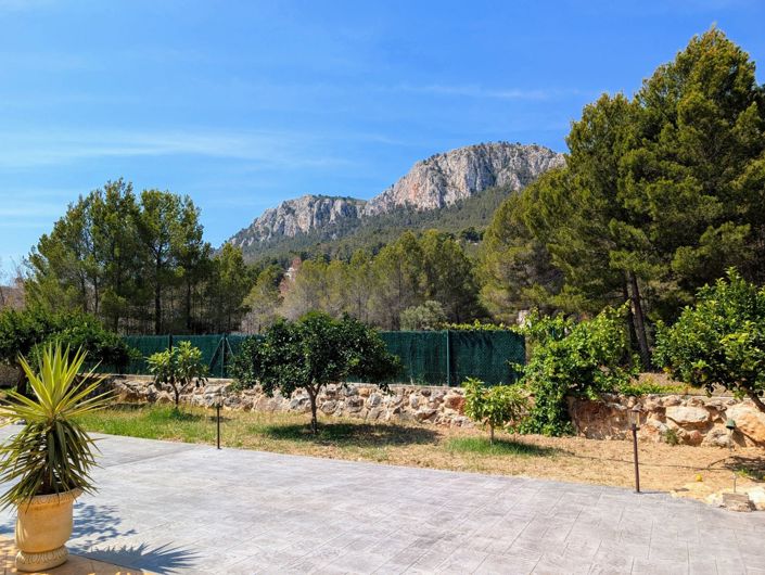 Image No.3-4 Bed Finca for sale