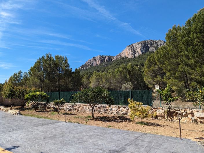 Image No.33-4 Bed Finca for sale