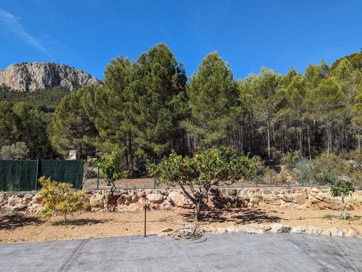 Image No.34-4 Bed Finca for sale