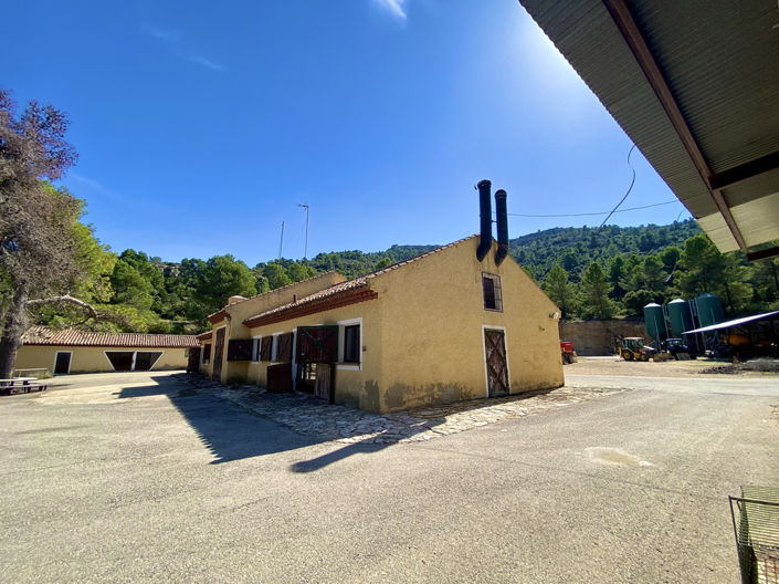 Image No.23-Finca de 5 chambres à vendre à Ayora