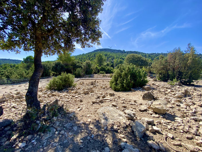 Image No.29-Finca de 5 chambres à vendre à Ayora