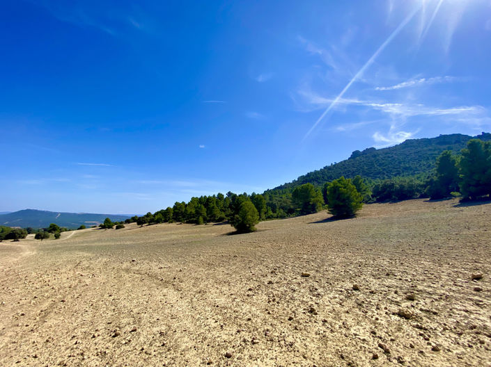 Image No.7-Finca de 5 chambres à vendre à Ayora