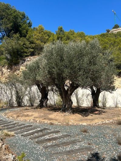 Image No.21-3 Bed Villa for sale