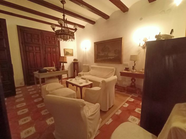 Image No.19-11 Bed Villa for sale