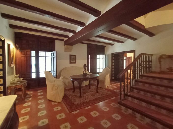 Image No.49-11 Bed Villa for sale