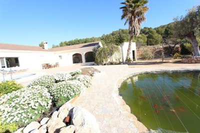 spaintime-propiedadesd6b7c39910377343c0ba9242