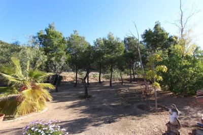 spaintime-propiedades730e10f00f7645caf961f93a
