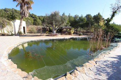 spaintime-propiedades067a6ecfeec2c78263d940fd