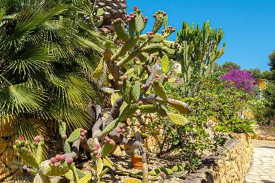 gfu64yjif34ngyqr48nu0