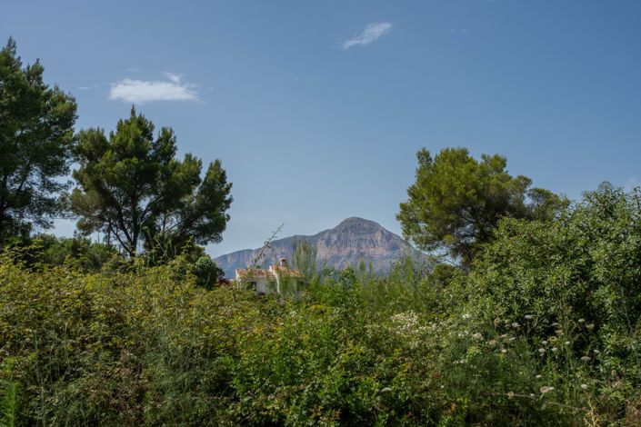 Image No.1-Land for sale