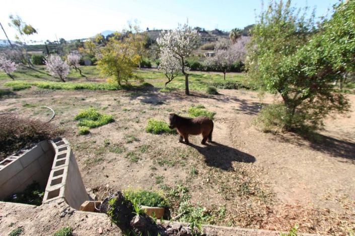 Image No.40-Villa de 6 chambres à vendre à La Nucía