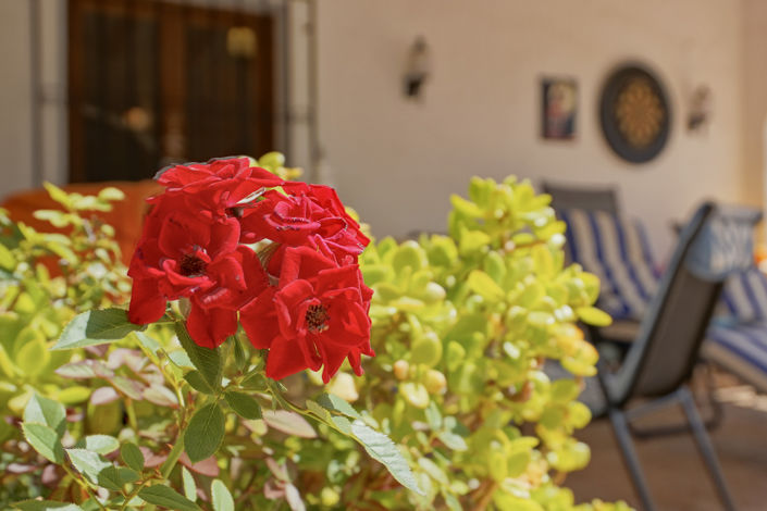 Image No.35-4 Bed Villa for sale