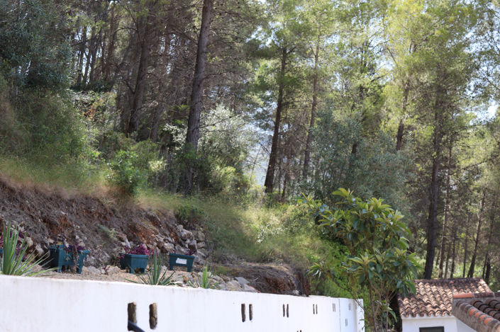 Image No.44-5 Bed Villa for sale