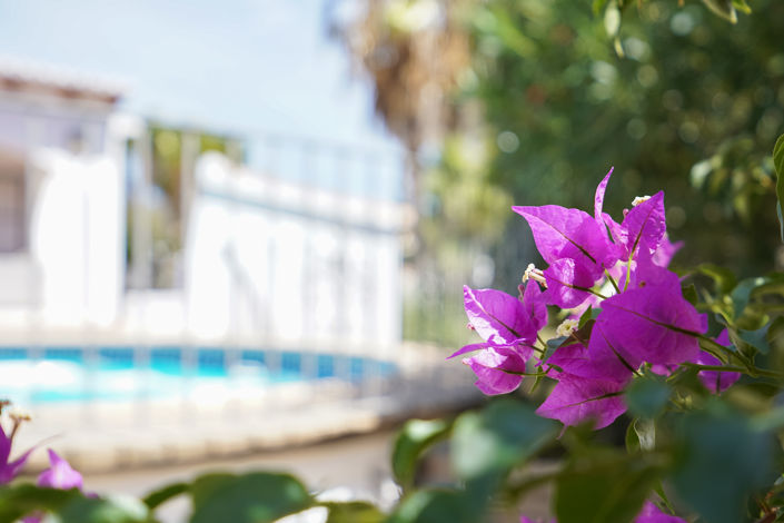 Image No.26-3 Bed Villa for sale