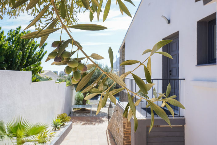 Image No.41-Villa de 5 chambres à vendre à Calpe