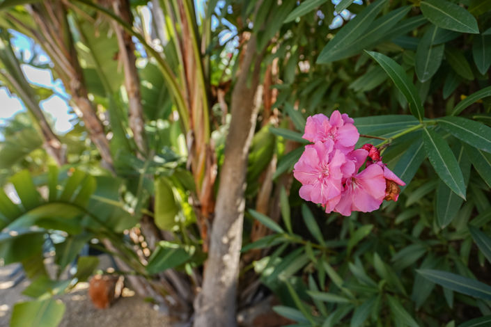 Image No.35-3 Bed Villa for sale