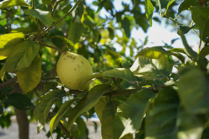 Image No.34-Villa de 3 chambres à vendre à Benissa