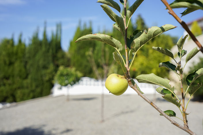 Image No.35-Villa de 3 chambres à vendre à Benissa