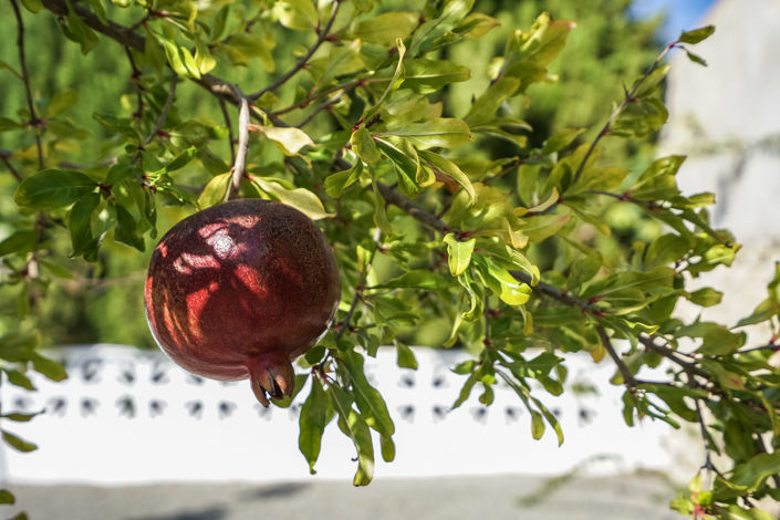 Image No.38-Villa de 3 chambres à vendre à Benissa