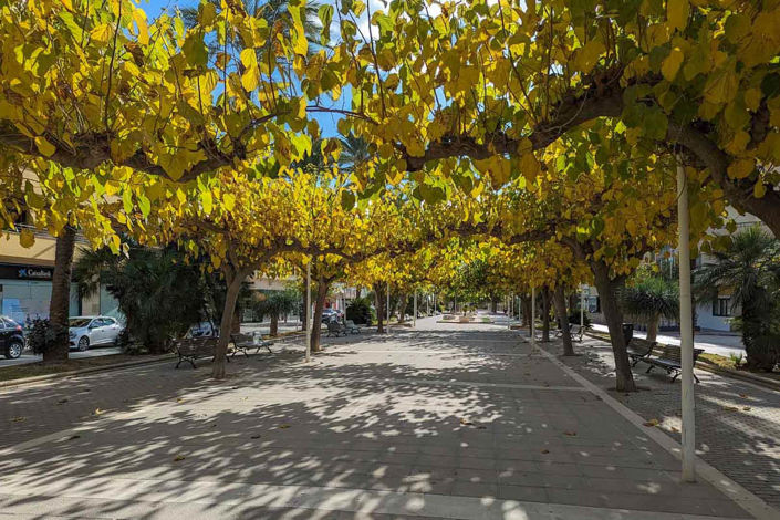 Image No.26-2 Bed Villa for sale