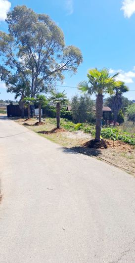 Image No.12-4 Bed Finca for sale