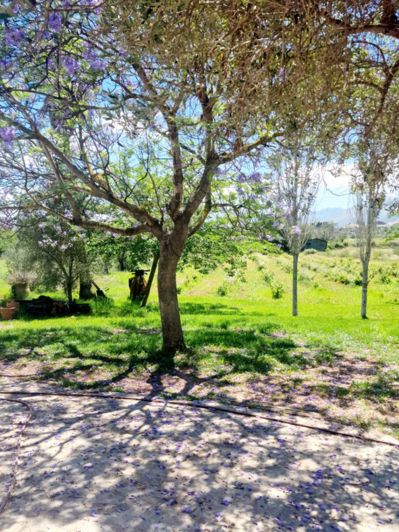 Image No.19-4 Bed Finca for sale