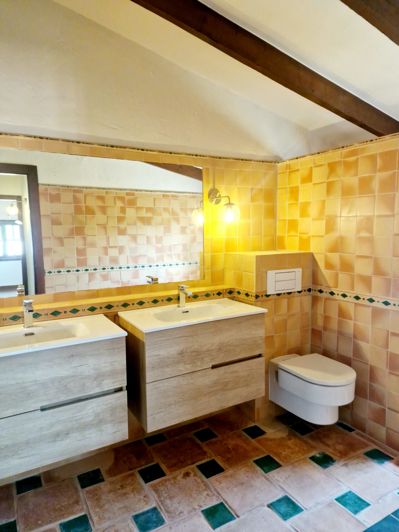 Image No.38-4 Bed Finca for sale