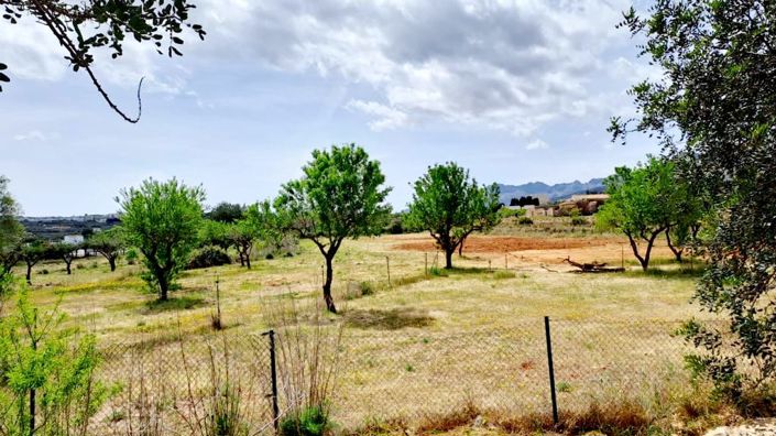 Image No.47-4 Bed Finca for sale