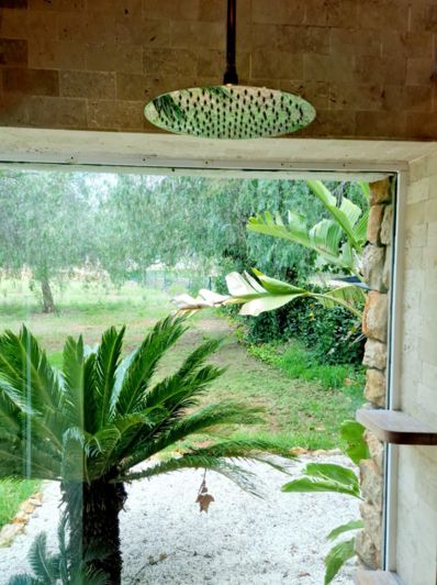 Image No.8-4 Bed Finca for sale