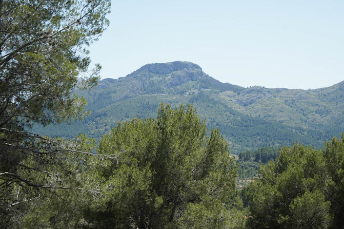 Image No.24-2 Bed Villa for sale