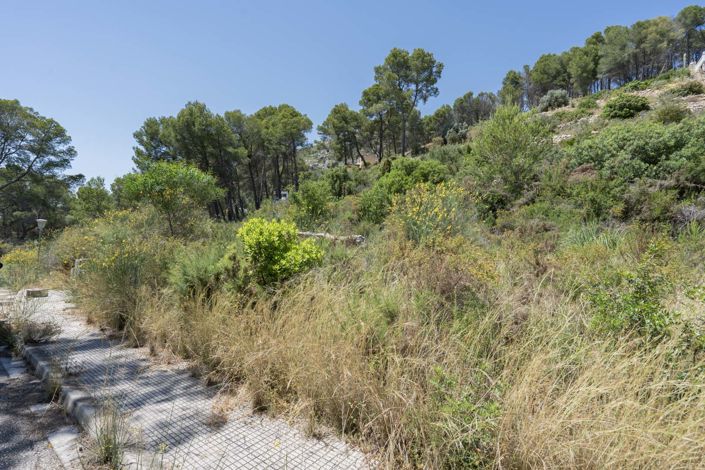 Image No.22-Villa à vendre à Alcalali